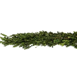 Fresh Christmas Wreaths & Greenery>Kirklands Home Fresh Cut Boxwood Christmas Garland