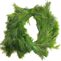 Fresh Christmas Wreaths & Greenery>Kirklands Home Fresh Cut White Pine Christmas Garland