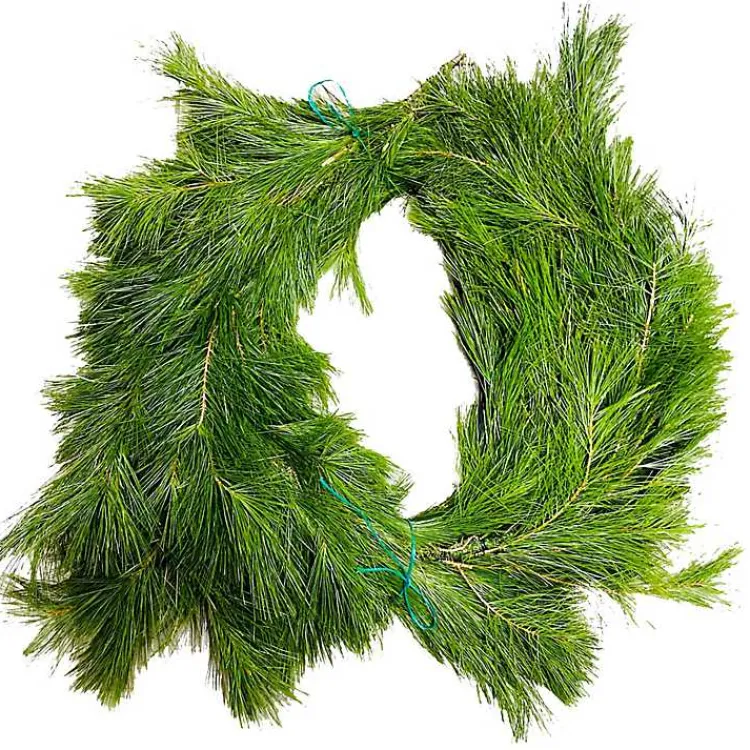 Fresh Christmas Wreaths & Greenery>Kirklands Home Fresh Cut White Pine Christmas Garland