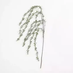Stems & Bouquets>Kirklands Home Frosted Draping Eucalyptus Stem Green