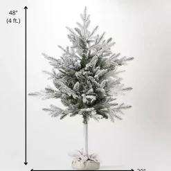 Christmas Trees><noscript><img width=