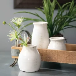 Vases><noscript><img width=