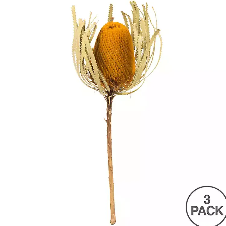 Stems & Bouquets>Kirklands Home Dried Jumbo Banksia Stems, Set of 3 Gold