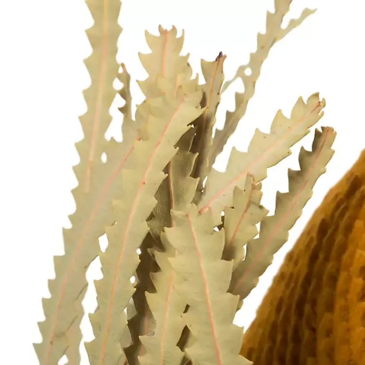 Stems & Bouquets>Kirklands Home Dried Jumbo Banksia Stems, Set of 3 Gold