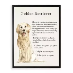 Kirklands Home Golden Retriever Boxer Facts Framed Wall Plaque