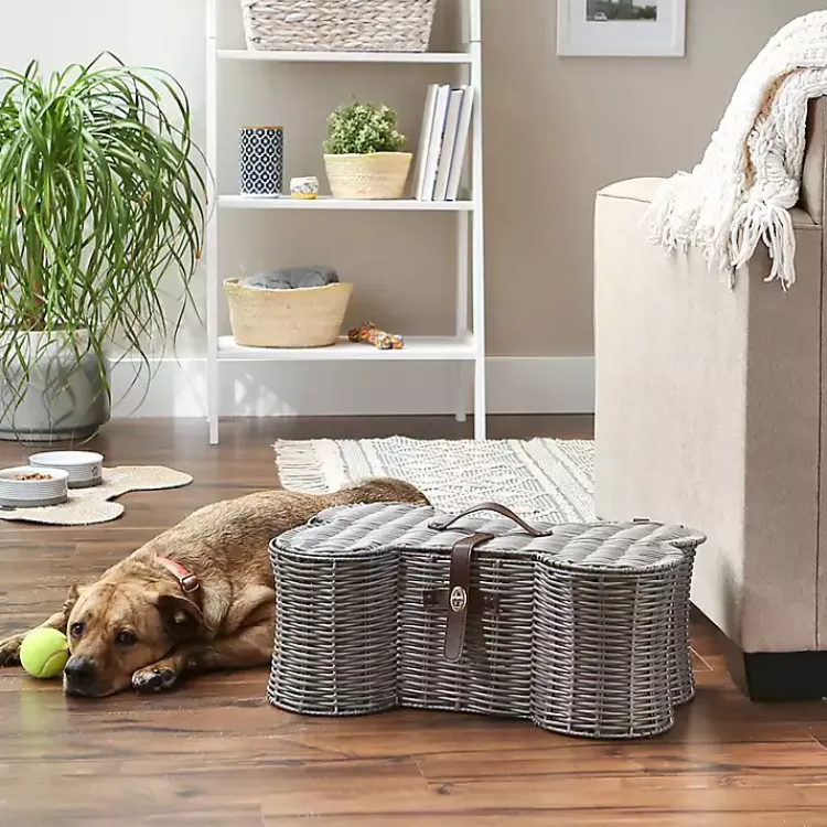 Baskets & Boxes>Kirklands Home Woven Bone Shaped Basket, 21 in. Gray