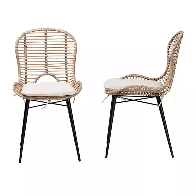 Kirklands Home Graywash Rattan Brenna Dining Chairs, Set of 2 Hot