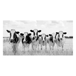 Kirklands Home Grazing Pasture Canvas Art Print New