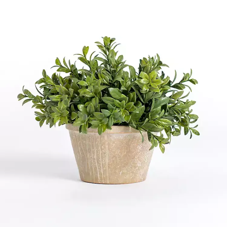 Arrangements & Greenery>Kirklands Home Boxwood Arrangement in Ceramic Pot Green