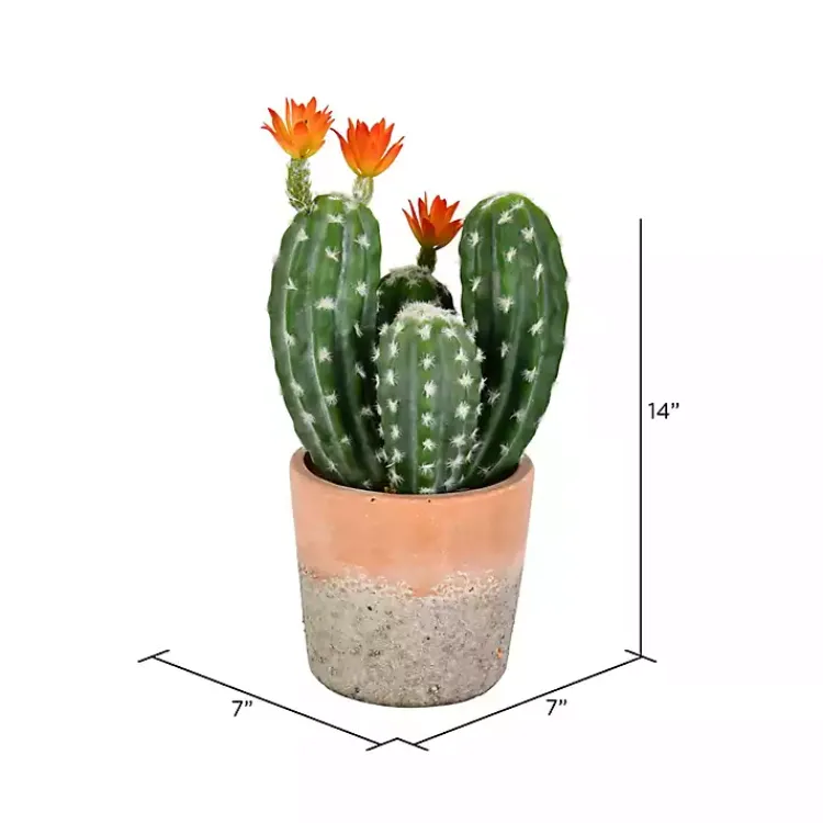Arrangements & Greenery>Kirklands Home Cactus in Clay Pot, 14 in. Green