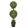 Trees & Topiaries>Kirklands Home Green Double Ball Boxwood Potted Topiary