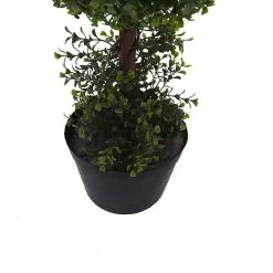 Trees & Topiaries><noscript><img width=