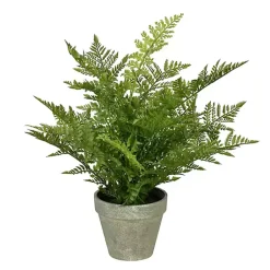 Arrangements & Greenery>Kirklands Home Fern Arrangement in Paper Pot Green