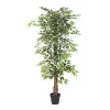 Trees & Topiaries>Kirklands Home Green Ficus Potted Tree, 73 in.