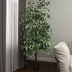 Trees & Topiaries><noscript><img width=