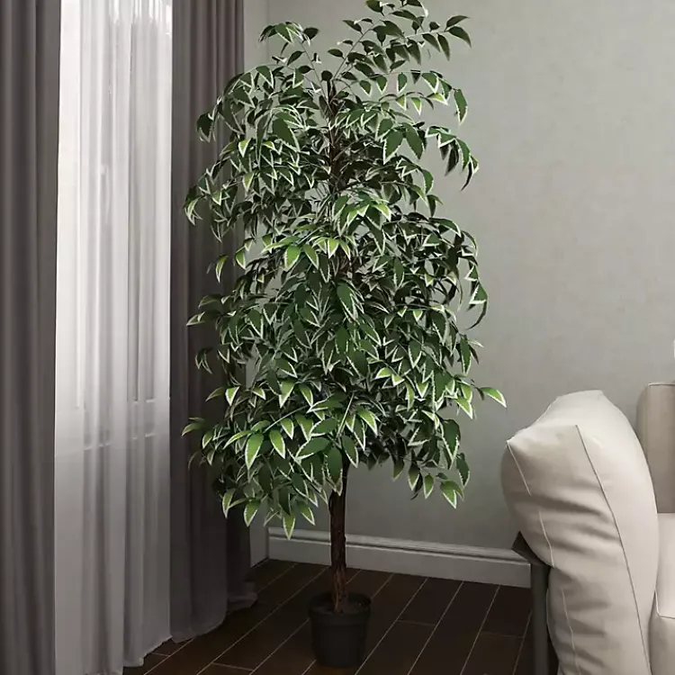 Trees & Topiaries>Kirklands Home Green Ficus Potted Tree, 73 in.