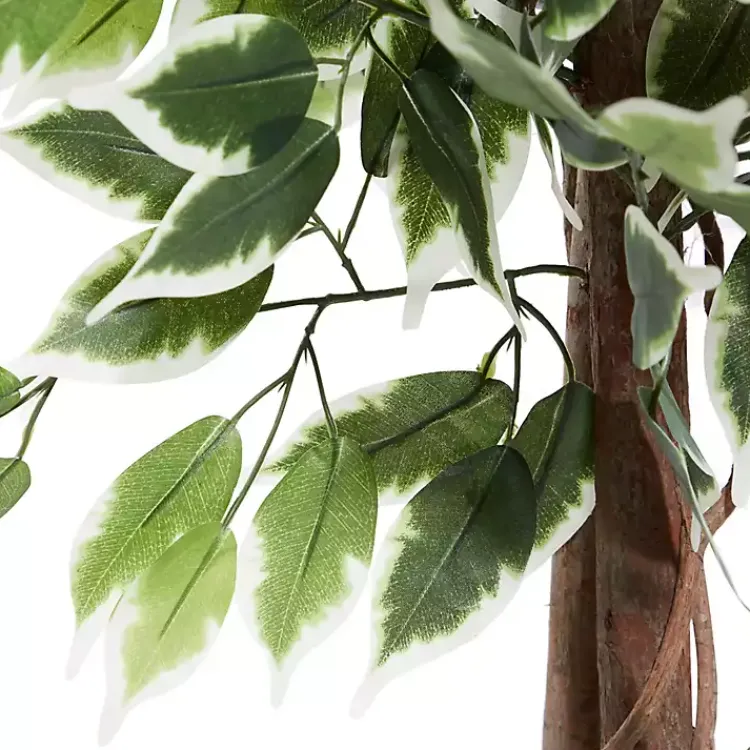 Trees & Topiaries>Kirklands Home Green Ficus Potted Tree, 73 in.