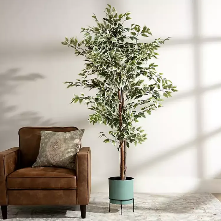 Trees & Topiaries>Kirklands Home Green Ficus Potted Tree, 73 in.