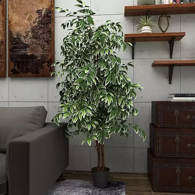 Trees & Topiaries>Kirklands Home Green Ficus Potted Tree, 73 in.
