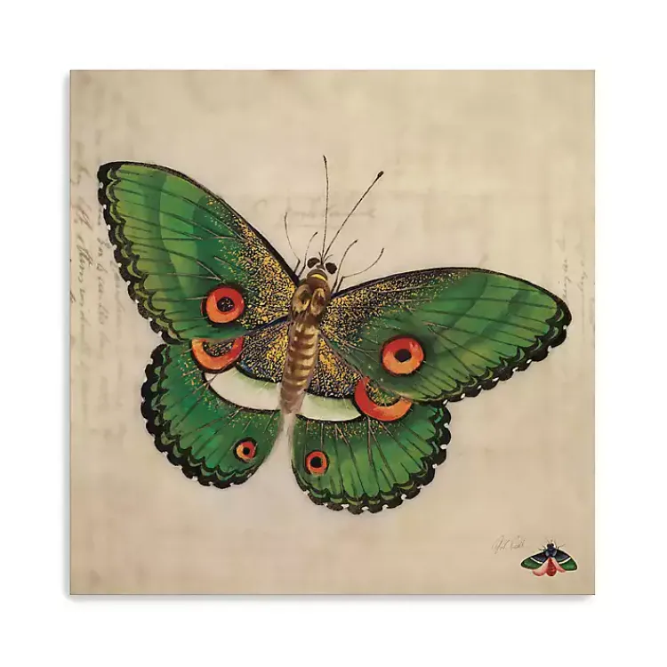 Kirklands Home Green Vintage Butterfly Canvas Art Print New