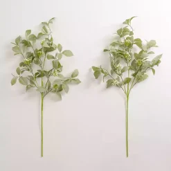 Stems & Bouquets>Kirklands Home ery and Flower Bud Stems, Set of 2 Green