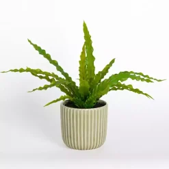 Arrangements & Greenery>Kirklands Home ery Plant in Ribbed Ceramic Pot Green
