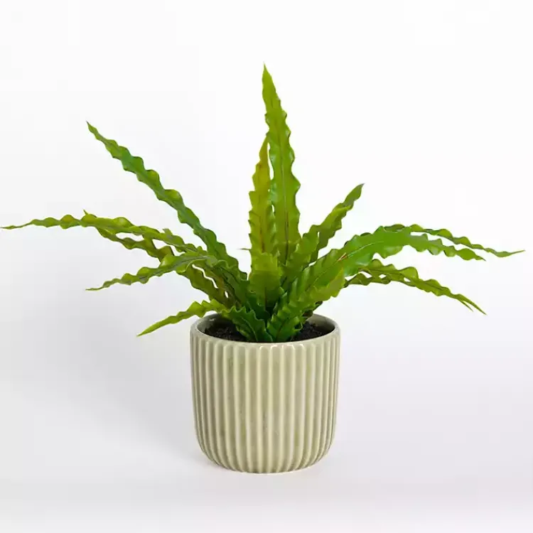 Arrangements & Greenery>Kirklands Home ery Plant in Ribbed Ceramic Pot Green