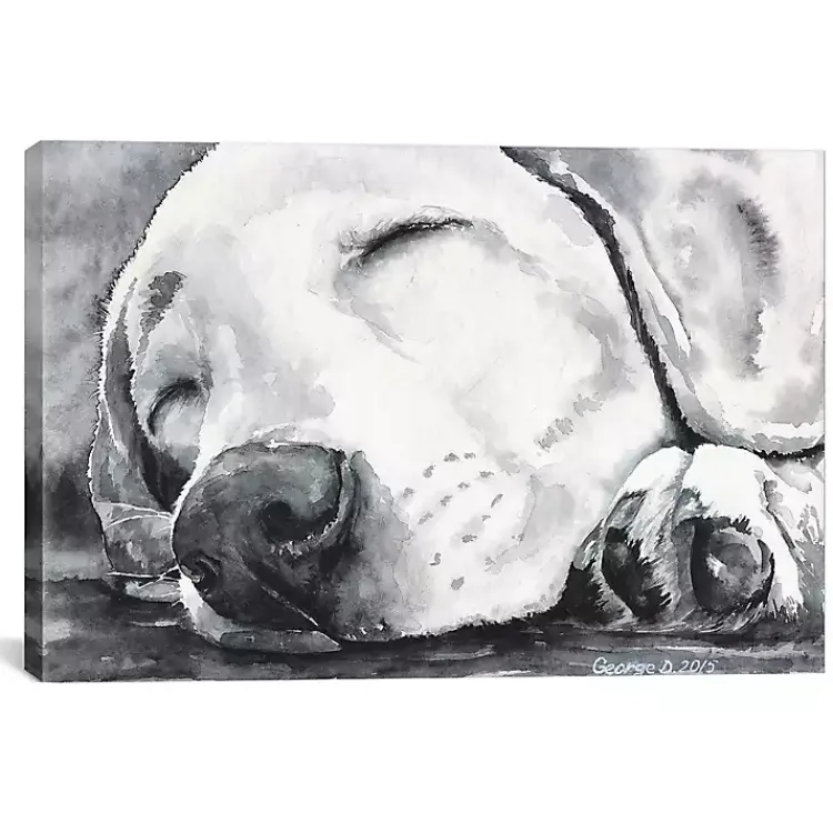 Kirklands Home Happy Dreams Dog Giclee Canvas Art Print, 26x18 Gray Outlet
