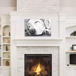 Kirklands Home Happy Dreams Dog Giclee Canvas Art Print, 26x18 Gray Outlet