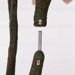 Trees & Topiaries><noscript><img width=