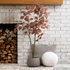 Trees & Topiaries><noscript><img width=