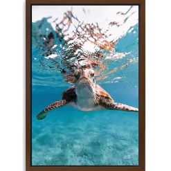Kirklands Home Hello Turtle Framed Canvas Art Print Discount