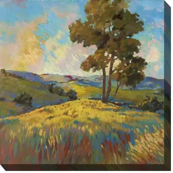 Kirklands Home High Ground Outdoor Canvas Art Print Best