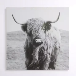 Kirklands Home Highland in the Wild Canvas Art Print Gray Sale