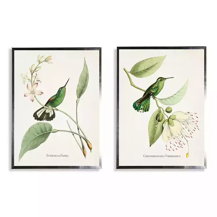 Kirklands Home Hummingbirds on Flowers 2-pc. Framed Art Print Set Sale