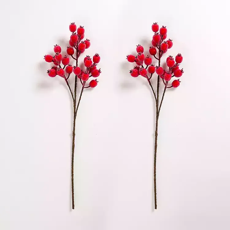 Stems & Bouquets>Kirklands Home Iced Berry Stems, Set of 2 Red