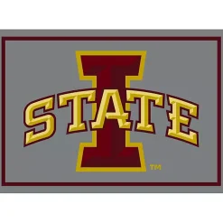 Kirklands Home Iowa State University Area Rug, 4x6 Discount