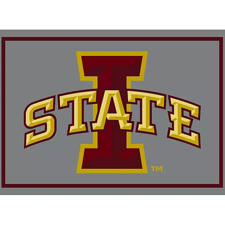 Kirklands Home Iowa State University Area Rug, 4x6 Discount