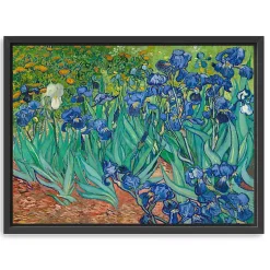 Kirklands Home Irises Framed Canvas Art Print, 42x32 in. Clearance