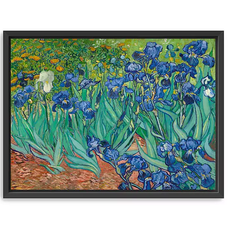 Kirklands Home Irises Framed Canvas Art Print, 42x32 in. Clearance