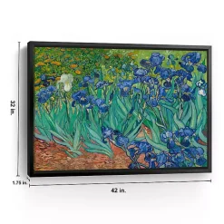 Kirklands Home Irises Framed Canvas Art Print, 42x32 in. Clearance