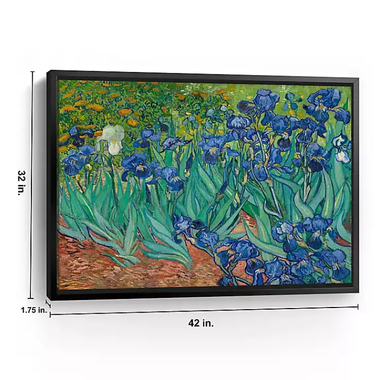Kirklands Home Irises Framed Canvas Art Print, 42x32 in. Clearance