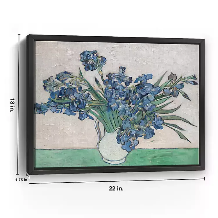 Kirklands Home Irises II Framed Canvas Art Print, 22x18 in.