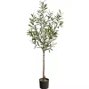 Trees & Topiaries>Kirklands Home Italian Olive Tree in Black Nursery Planter, 5 ft.