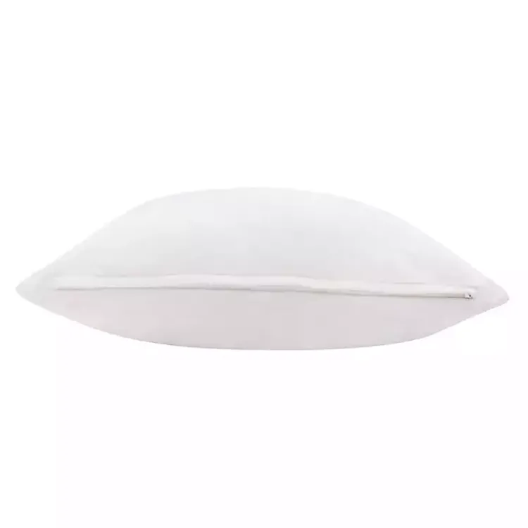 Pillows>Kirklands Home Velvet Handmade Throw Pillow Ivory