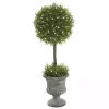Trees & Topiaries>Kirklands Home Juniper Ball Tree in Pedestal Urn