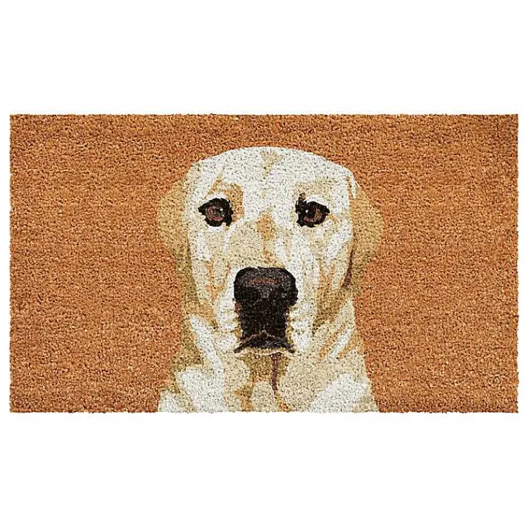 Kirklands Home Labrador Retriever Doormat Best