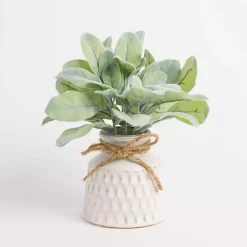Arrangements & Greenery>Kirklands Home Lamb's Ear Arrangement in White Vase