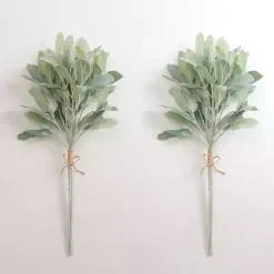 Stems & Bouquets>Kirklands Home Lamb's Ear Bundles, Set of 2 Green