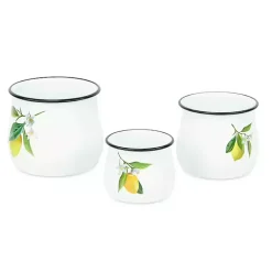 Decorative Bowls & Jars>Kirklands Home Lemon Blossom Enamel Jars, Set of 3
